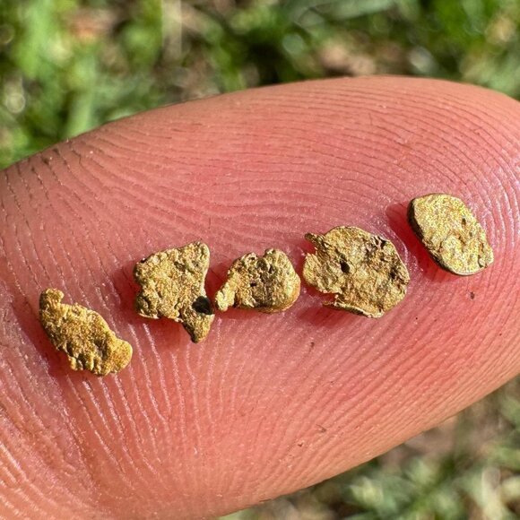 California Gold Nuggets in Display Case - 0.17 grams - Picture 2 of 6
